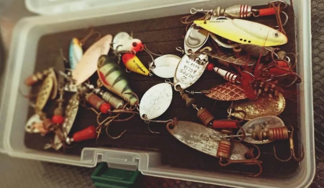 Najlepsze przynęty na okonia: przewodnik po wyborze i łowieniu