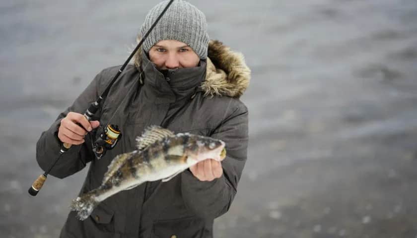 Ryby na spinning: Przewodnik po gatunkach, przynętach i łowiskach