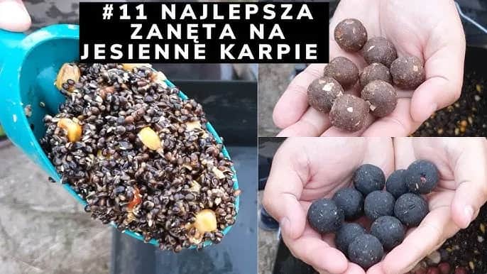 Najlepsza zanęta na karpia: Skuteczne przepisy i porady (do 70 znaków)