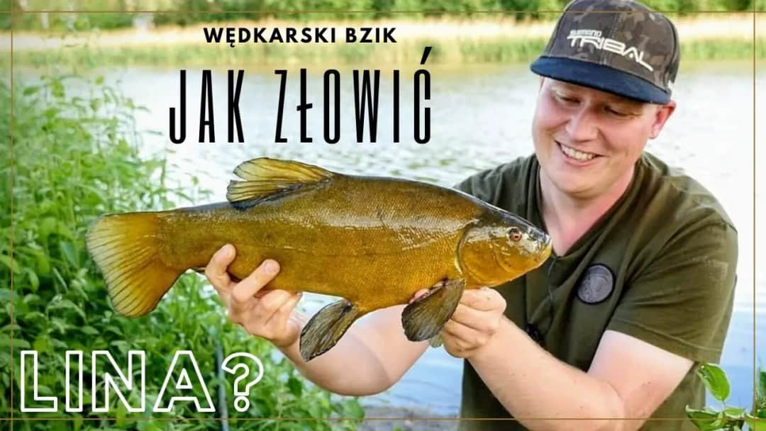 Jak łowić lina na spławik? Sprawdzone metody i porady