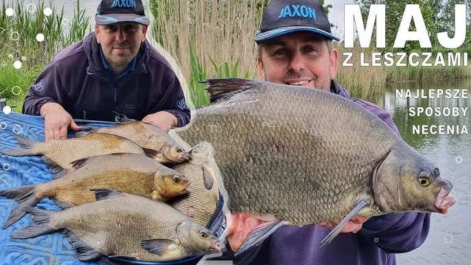 Najlepsze przynęty na leszcza: sprawdzone przepisy i triki na rekordowe połowy
