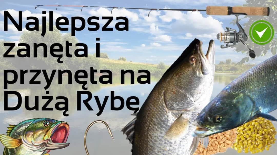 Skuteczna zanęta na ryby: przepisy i porady dla wędkarzy