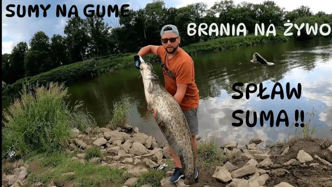 Spinning na suma: Kompletny przewodnik po sprzęcie i technikach