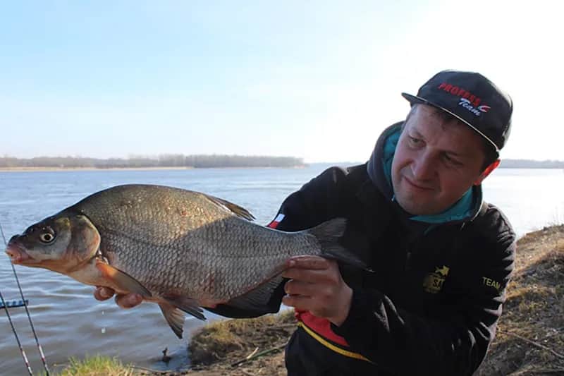 Skuteczna zanęta na rzekę: Sekret łowienia feederem (Poradnik)