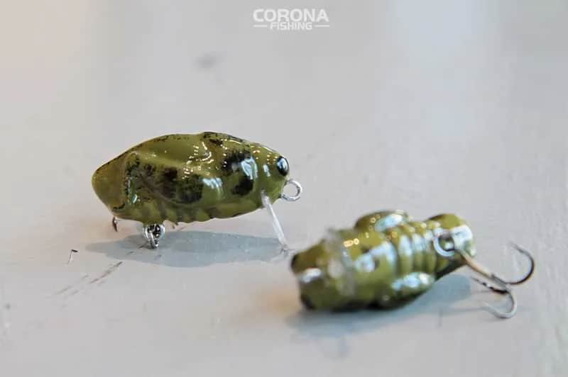 Najlepsze przynęty na białoryb: naturalne, sztuczne, przepisy DIY