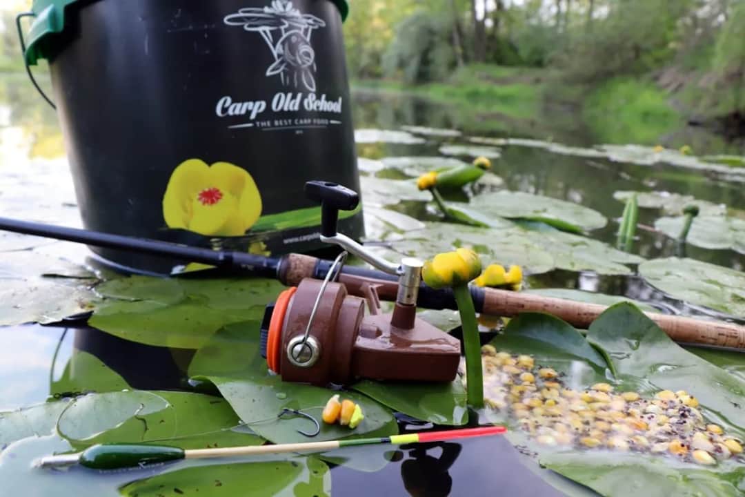Wybierz spławik na karpia: poradnik eksperta dla lepszych brań